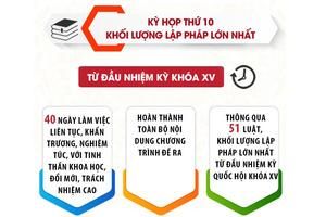 [Infographic] 51 luật được ban hành tại Kỳ họp thứ 10, Quốc hội khóa XV: Khẳng định vai trò tiên phong, đi trước một bước về thể chế