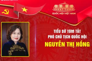 Tiểu sử tóm tắt Phó Chủ tịch Quốc hội khóa XVI Nguyễn Thị Hồng