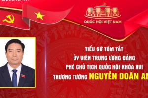 Tiểu sử tóm tắt Phó Chủ tịch Quốc hội khóa XVI, Thượng tướng Nguyễn Doãn Anh