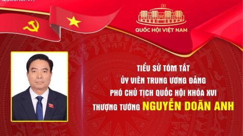 Tiểu sử tóm tắt Phó Chủ tịch Quốc hội khóa XVI, Thượng tướng Nguyễn Doãn Anh
