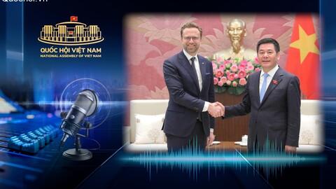 Phó Chủ tịch Quốc hội Nguyễn Hồng Diên hội kiến với Chủ tịch Uỷ ban Nghị viện EFTA