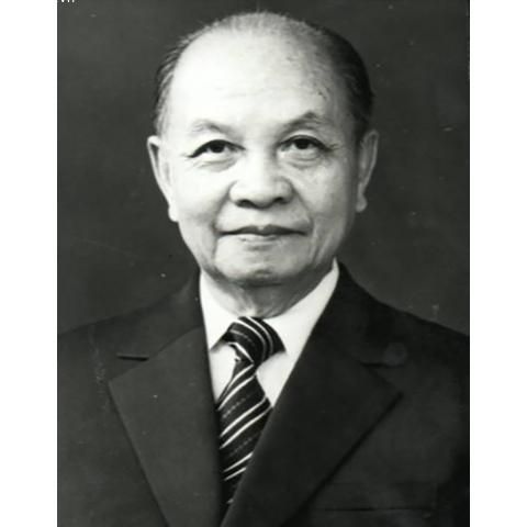 Đồng chí Trường Chinh