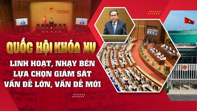 [Infographic] Quốc hội khóa XV: Giám sát là khâu trọng tâm, then chốt để nâng cao hiệu lực, hiệu quả của Quốc hội