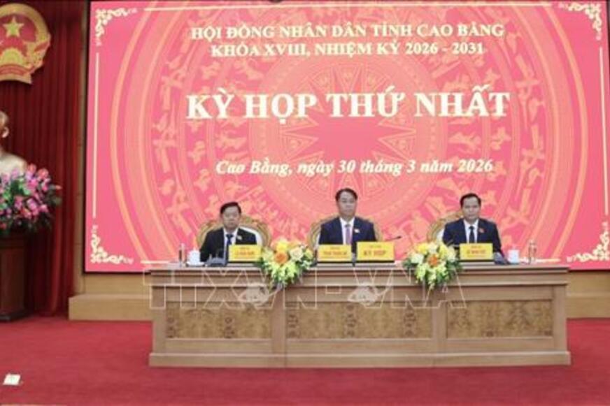 Bảo đảm mọi chủ trương, chính sách được triển khai đúng, trúng và hiệu quả