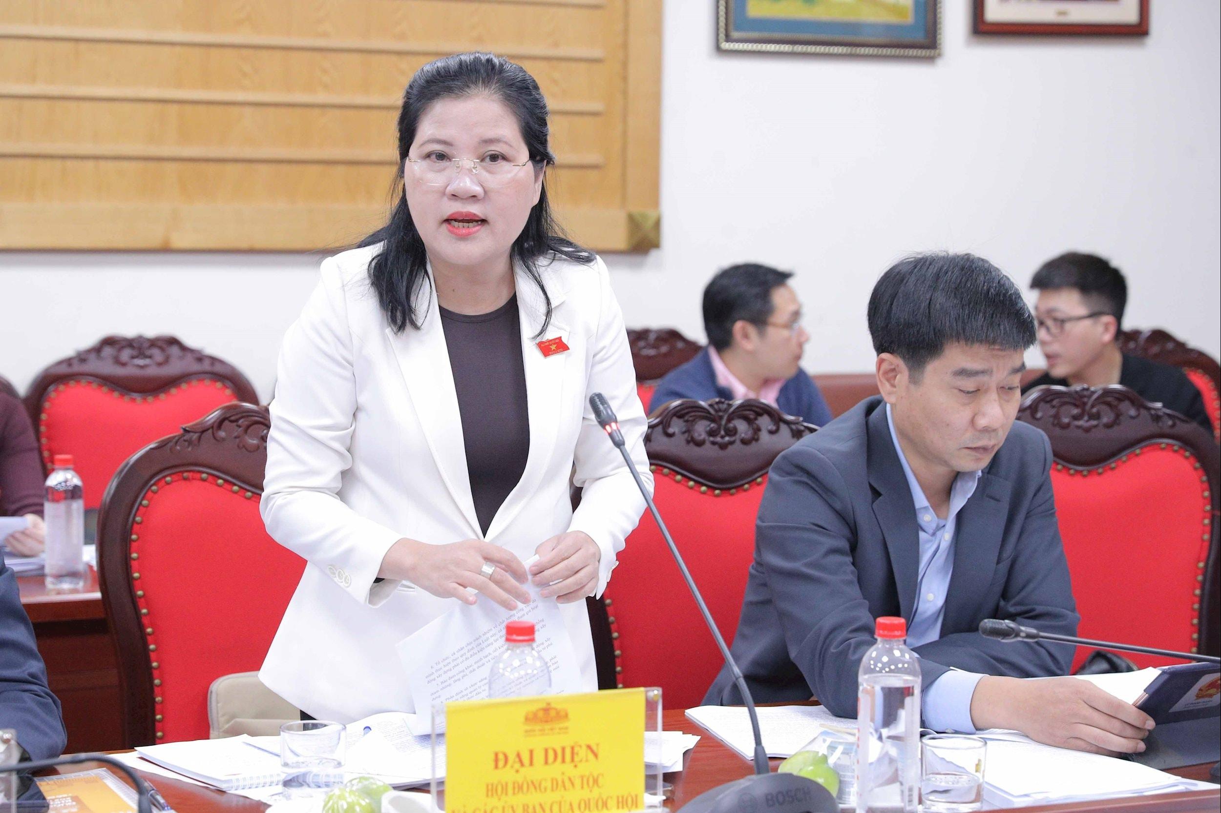 Phó Chủ tịch Hội đồng Dân tộc Đinh Thị Phương Lan